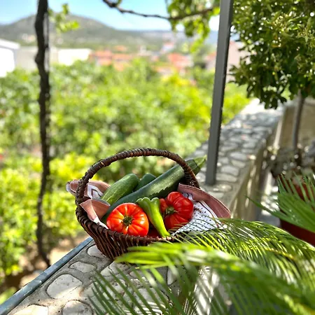 Petra Apartman Gustirna